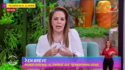 Comparativo de Luis Miguel con su supuesto doble