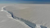 Situación crítica en la Antártida: un informe revela los peligros de su extinción