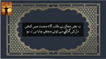 Ya Bhi Mumkin Hay Talab Gah Muhabbat Main Kabhi | poetry