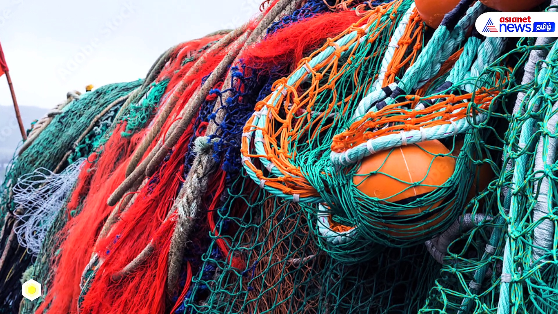 Save Earth | பூமியை மாசுபாட்டிலிருந்து காப்பாற்ற 13 வழிகள்!