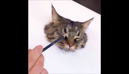 Il peint une tête de chat en 3d... Illusion parfaite