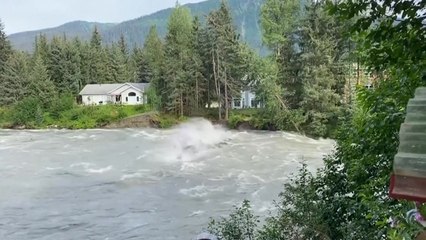 알래스카 빙하 녹아 나무들도 '털썩'...지반 불안 여전 / YTN