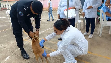 Exitoso el primer día de la Campaña Nacional de Vacunación Antirrábica Canina 2023 en Carazo