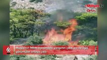 Muğla'daki yangının çıkış anı ortaya çıktı! Olay anında bir otomobil uzaklaştı