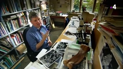 Vélociraptor  la machine de guerre - ZAPPING SAUVAGE