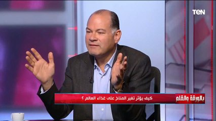 د.عبد الحكيم الواعر يوضح الحلول لحل أزمة نقص الغذاء