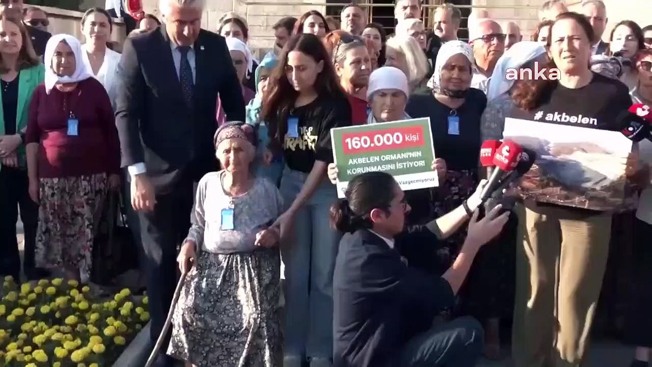 La suggestion de déforestation dans les forêts d'Akbelen a été rejetée