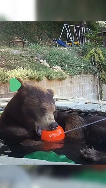 La princesse fait un voyage au spa Bear