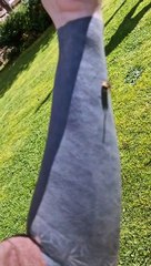 La guêpe piquante se coince