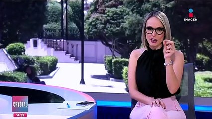 Alerta de extinción para la Vaquita Marina