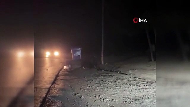 Yiyecek arayan ayı böyle görüntülendi
