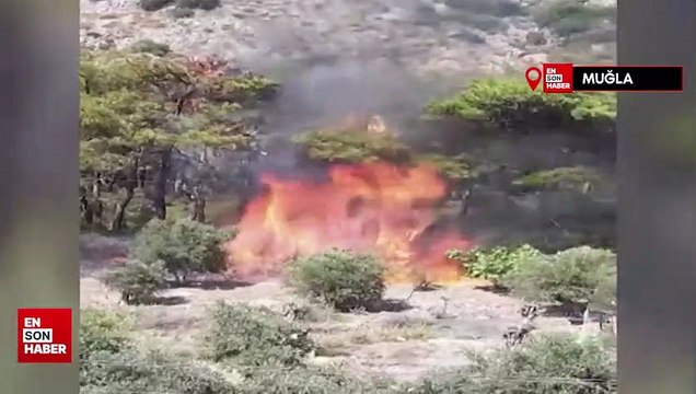 Milas yangınında sabotaj şüphesi: Yangının çıkış anı amatör kamerada