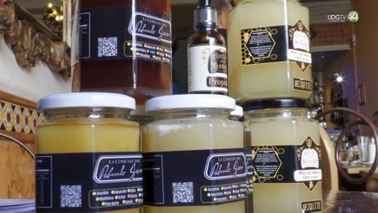 Apicultores promueven beneficios de miel y alertan sobre falsificaciones en Segunda Feria del 2023