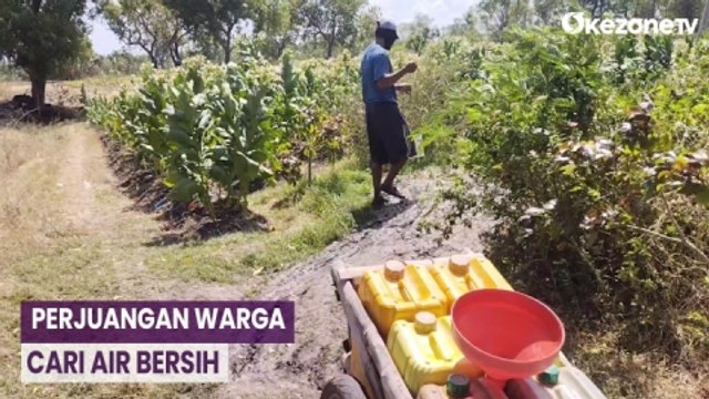 Kemarau Panjang, Warga Pamekasan Terpaksa Jalan Kaki Cari Air Bersih