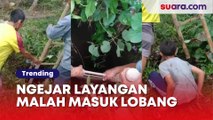 Viral! Seorang Anak Masuk Ke Lobang ketika Mengejar Layangan: Untung Ketauan Dek