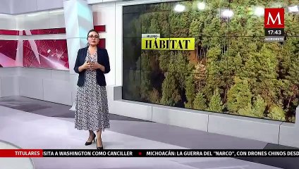 Expertos promueven la agricultura de conservación para producir más con menos | Milenio Hábitat