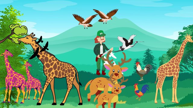 Video animasi - hutan - hewan hewan