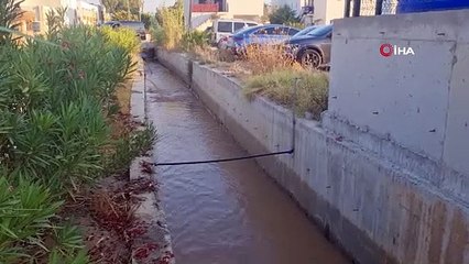 Bomba gibi patladı, motosikletli ve köpeğini havaya fırlattı