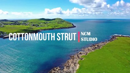 Cottonmouth Strut - The Whole Other  RnB Music, Dark Music, Revenge Music