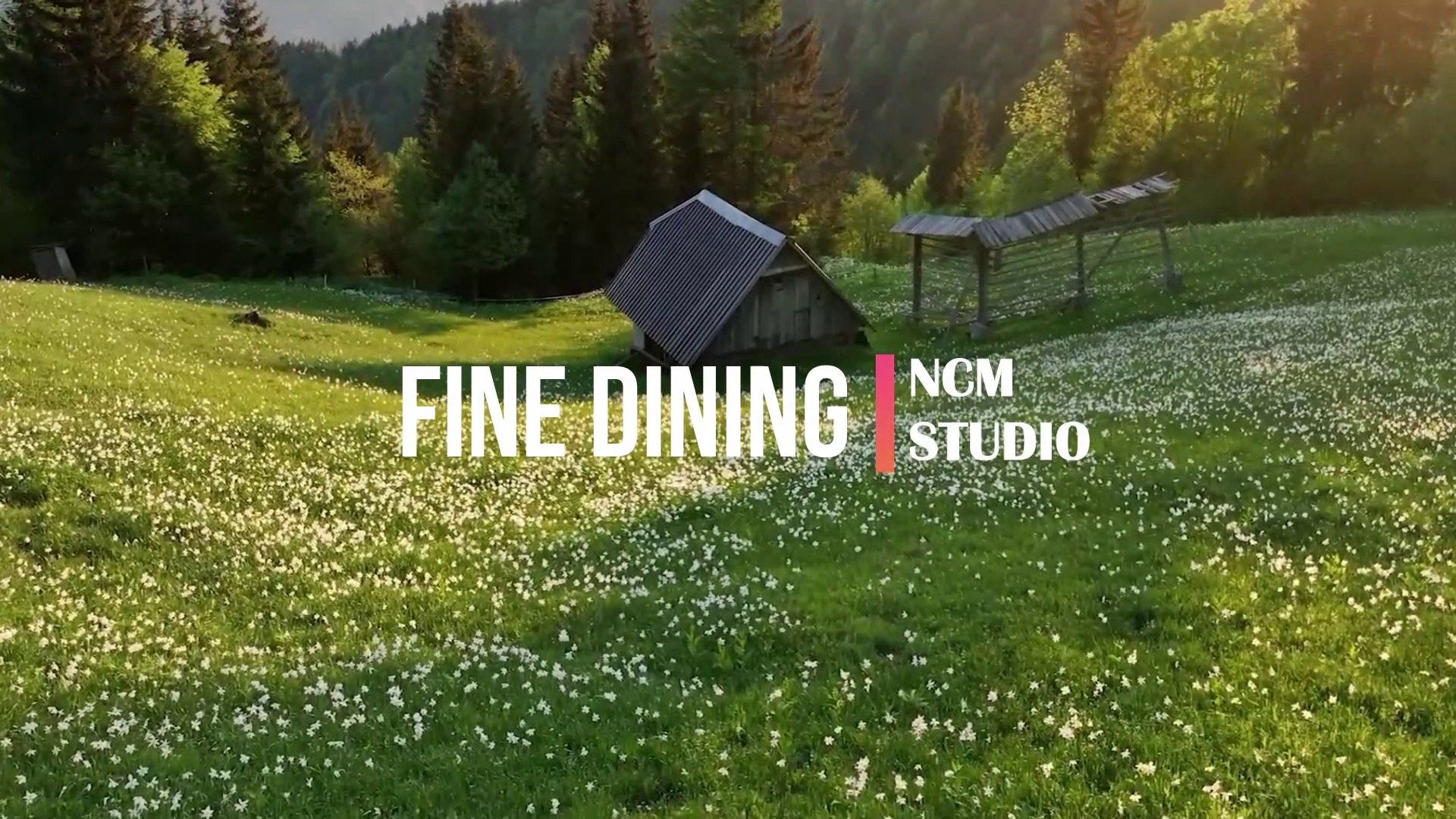 ⁣Fine Dining - TrackTribe  Jazz Music, Happy Music, Celebration Music, Bar Music