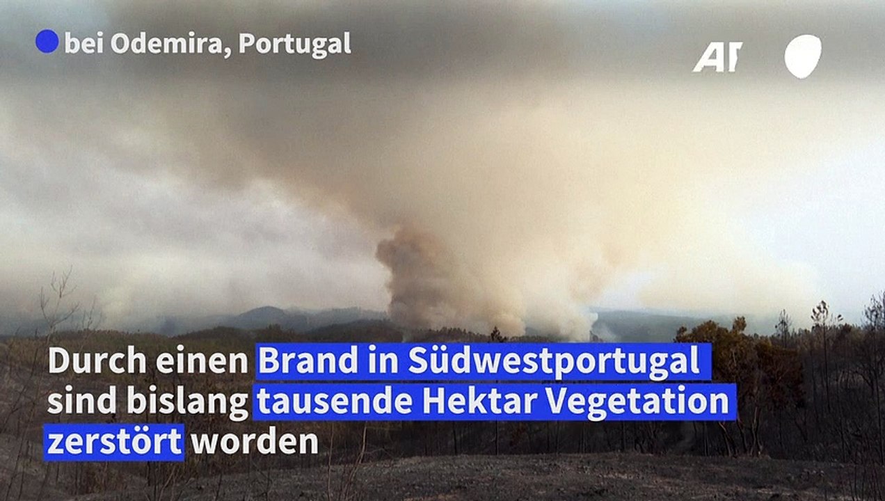 Brand in Südwestportugal - tausende Hekar Vegetation zerstört