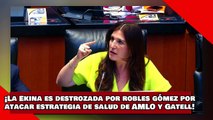 ¡VEAN! ¡La Ekina es destrozada por Robles Gómez por atacar estrategia de salud de AMLO y Dr. Gatell!