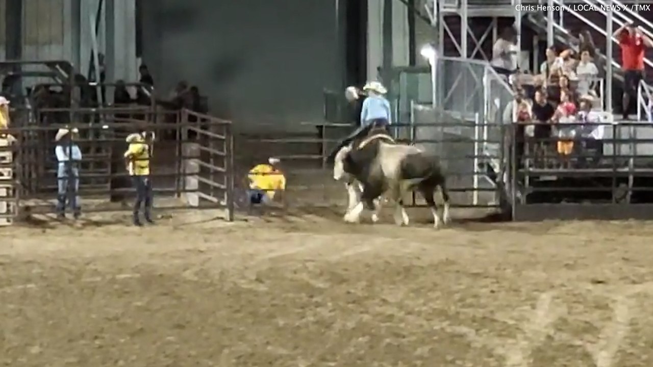 Bull leaves path of destruction after escaping rodeo arena