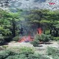 Muğla'daki orman yangınının çıkış anı