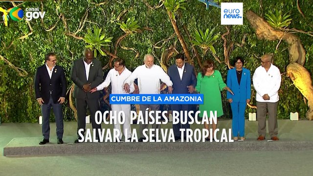 Cumbre de la Amazonia en Brasil | 8 países buscan fórmulas para salvar la selva tropical