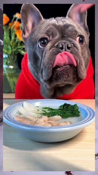 Try Not To Love These Animals