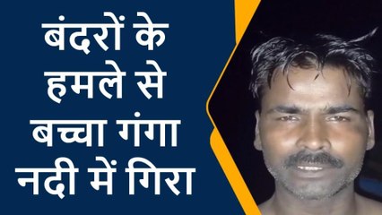 फर्रुखाबाद: बंदर के हमले से बचने के लिए बालक गंगा में कूदा, तलाश में जुटे गोताखोर