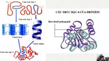 Sinh 10 - Bài 6 Các phân tử sinh học trong tế bào