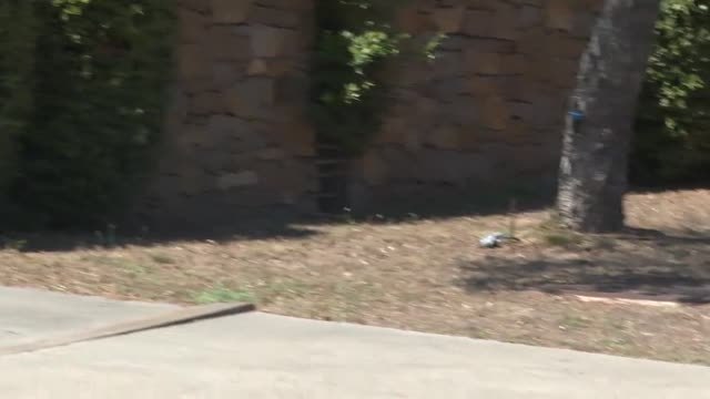 Multas a los vecinos de Palafrugell que incumplen la prohibición de regar jardines o llenar piscinas