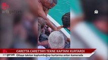 Alanya'da oltaya takılan caretta carettayı tur teknesinin kaptanı kurtardı