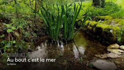 Au bout c’est la mer - 9 août