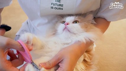 If You're Hungry, Then Say Meow (ENG SUB)