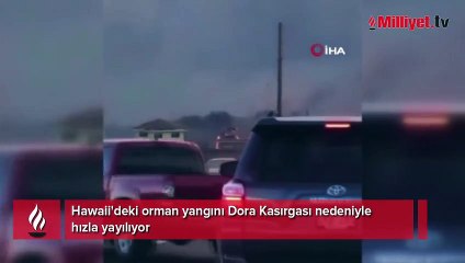 Hawaii'deki orman yangını Dora Kasırgası nedeniyle hızla yayılıyor