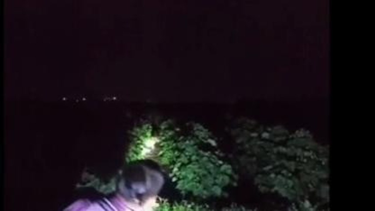 बड़वानी: तेंदुए के शावक की दस्तक से लोगों में दहशत, वन विभाग से की ये मांग
