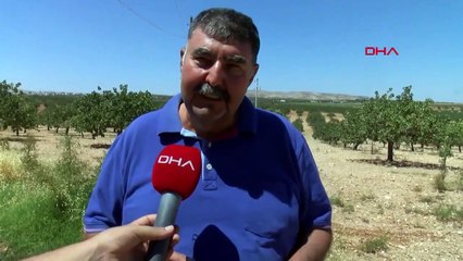 Antivol sous le vert ! Ils montent la garde avec des fusils à la main avec un salaire journalier de 1000 TL.