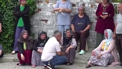 50 pigeons ont péri dans un incendie à Amasya