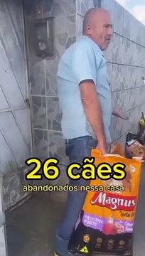 Cães são resgatados em situação de desnutrição e canibalismo em Maceió