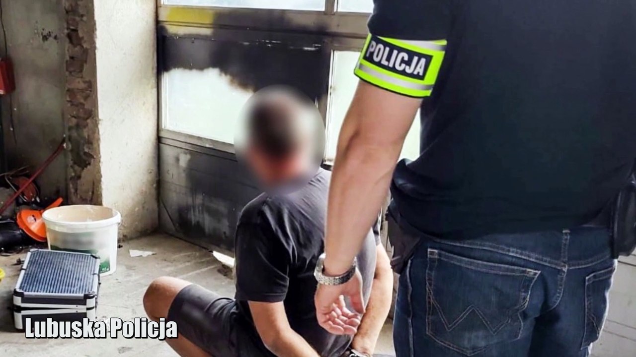 Gazeta Lubuska. Sulęcin. Policjanci odkryli dziuplę samochodową. Złodzieje właśnie rozbierali citroena