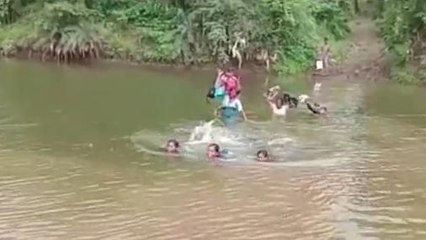 सरदारपुर : स्कूल जाने के लिए जान जोखिम में डालते है बच्चे, प्रशासन नहीं दे रहा ध्यान