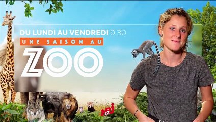 Alerte Cobra - 9 août