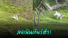 นุดดูไว้วิธีลงเนินเขาที่ถูกต้อง ไม่ต้องกลัวกลิ้ง แบบนี้สบายพุงไปอีก