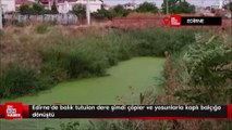 Edirne'de balık tutulan dere şimdi çöpler ve yosunlarla kaplı balçığa dönüştü