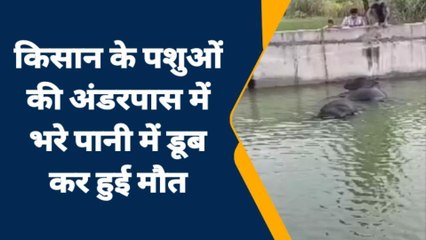सहारनपुर: अंडरपास के जलभराव में तैर रही थीं चार लाशें, देखते ही उड़ गए ग्रामीणों के होश