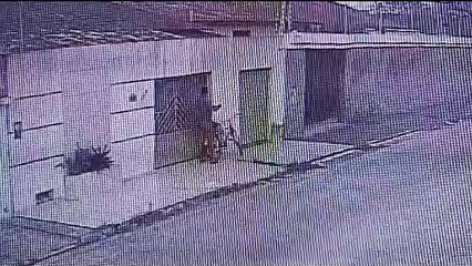 Vídeo mostra criminosos arrombando casa e furtando notebooks e TV