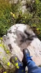 Des souris mortes retrouvées dans un réservoir d'eau potable à Erzurum