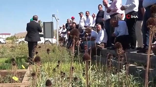 Des plantes médicinales et aromatiques ont été introduites à Muş